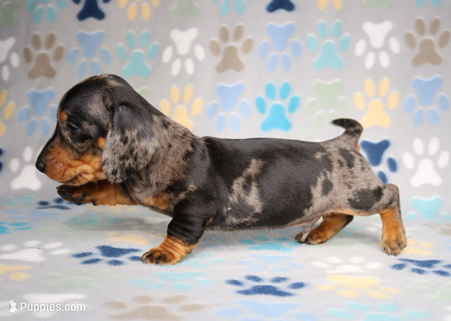 processed/b83ab386-b80c-49c0-86b0-5f05724adea0/listing/dc9de32a-b93c-437f-acd4-94a4c1a2b0ea/1d45e39e-8f01-48d1-b571-12a1e97db29d