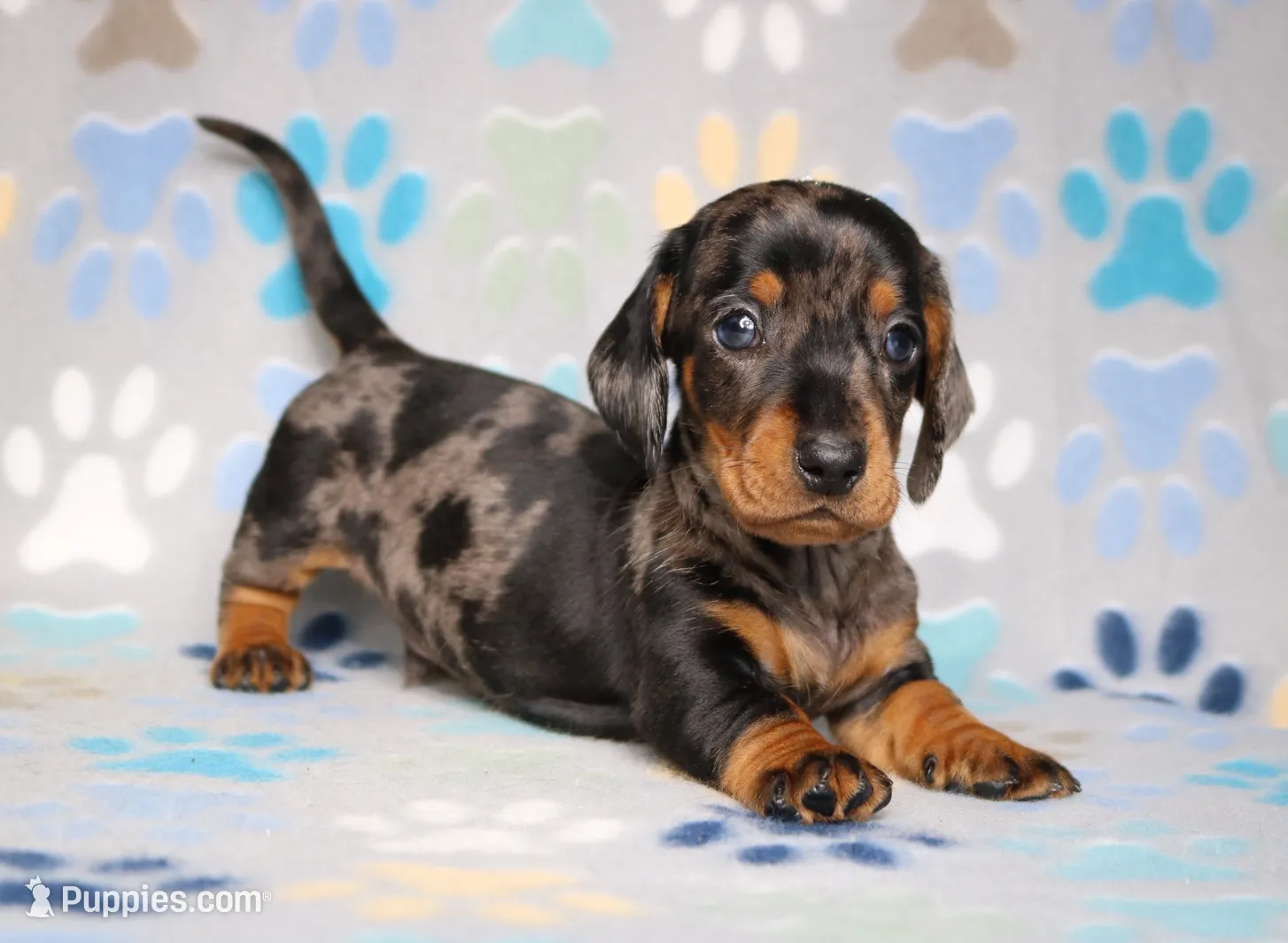 processed/b83ab386-b80c-49c0-86b0-5f05724adea0/listing/dc9de32a-b93c-437f-acd4-94a4c1a2b0ea/6c568834-8d09-4e01-a8d1-7b49563fd210