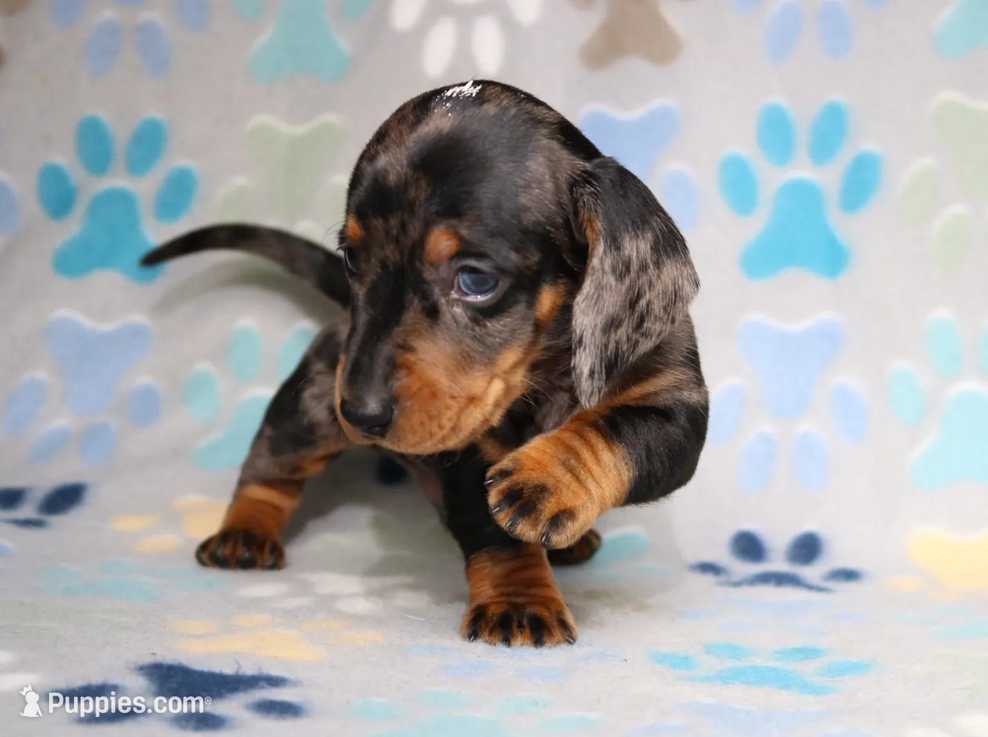 processed/b83ab386-b80c-49c0-86b0-5f05724adea0/listing/dc9de32a-b93c-437f-acd4-94a4c1a2b0ea/71df7c16-1850-4b58-82b7-dcd2f2f297c9