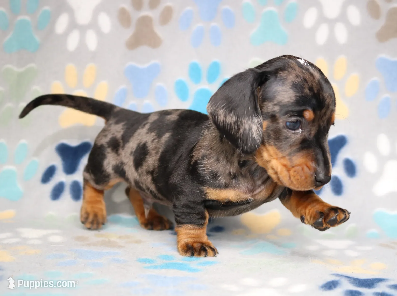 processed/b83ab386-b80c-49c0-86b0-5f05724adea0/listing/dc9de32a-b93c-437f-acd4-94a4c1a2b0ea/90ee3ce7-5d79-40b4-8e75-5ce3c37af746