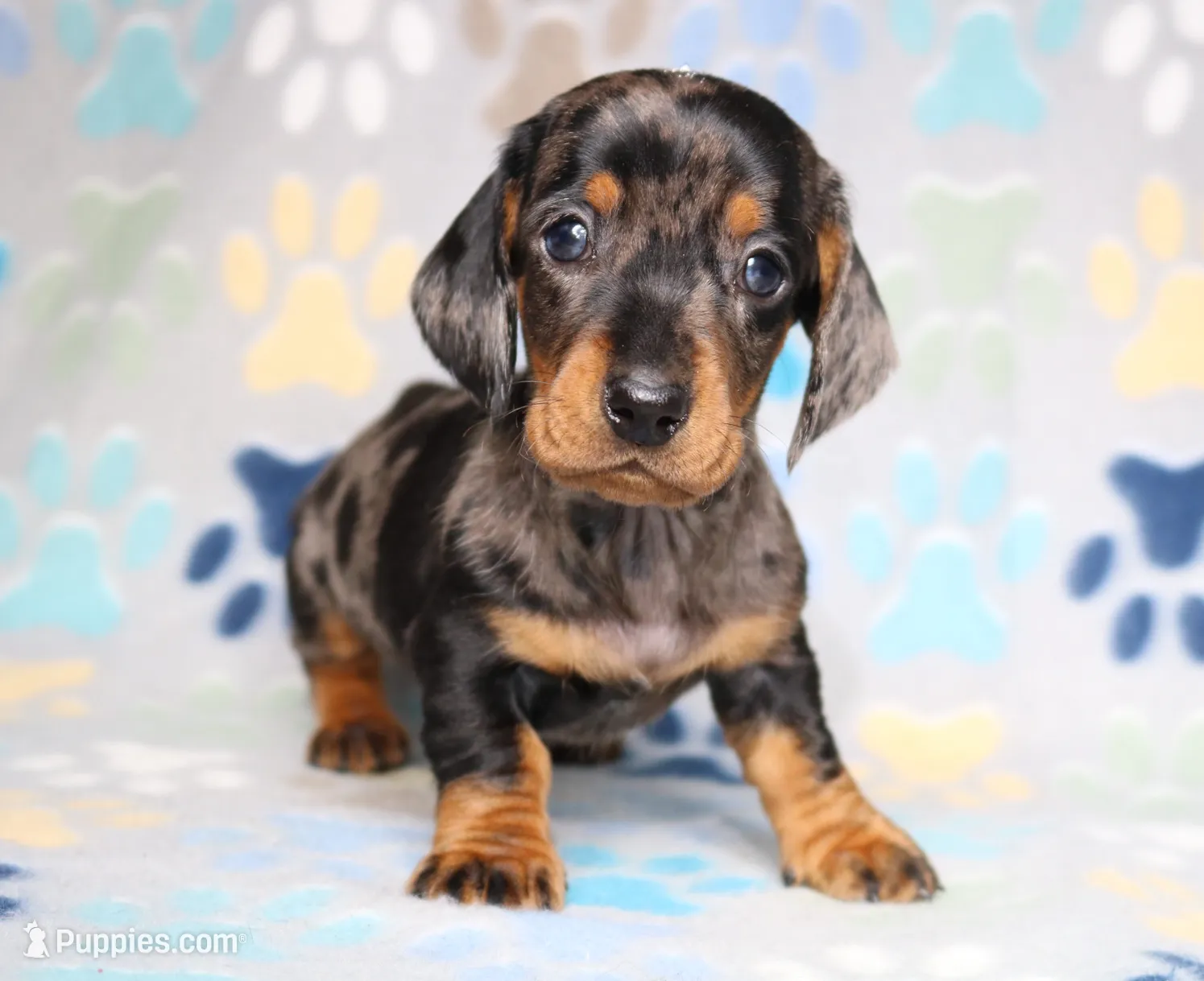 processed/b83ab386-b80c-49c0-86b0-5f05724adea0/listing/dc9de32a-b93c-437f-acd4-94a4c1a2b0ea/9a8412ef-c590-4b01-a9c9-72c53fc6f798