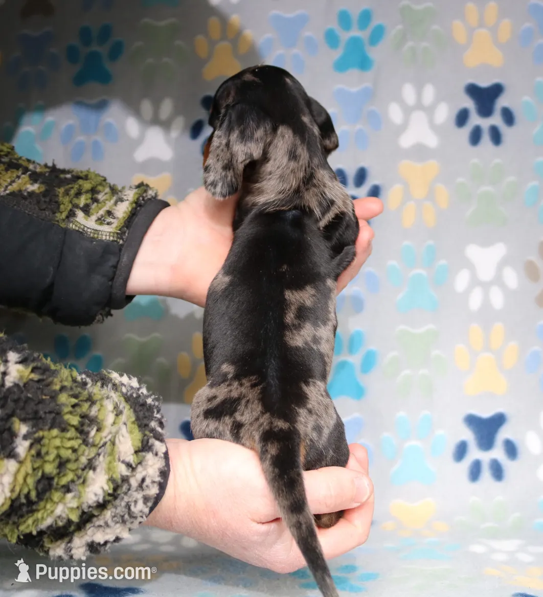 processed/b83ab386-b80c-49c0-86b0-5f05724adea0/listing/dc9de32a-b93c-437f-acd4-94a4c1a2b0ea/acb456fe-8fff-45ac-b2da-0082e1320ea4