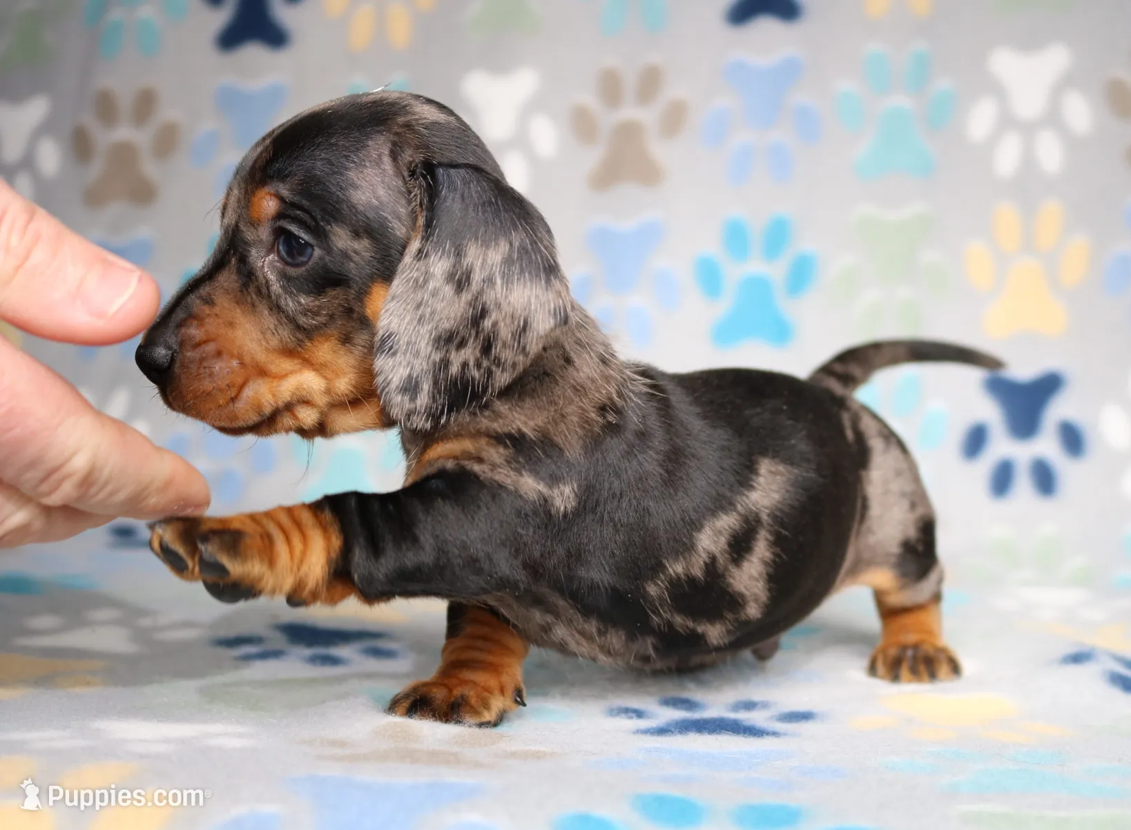 processed/b83ab386-b80c-49c0-86b0-5f05724adea0/listing/dc9de32a-b93c-437f-acd4-94a4c1a2b0ea/f84631a2-7469-4e96-81db-e454909c55a8