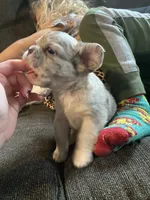 processed/b83c942d-21e0-4a53-84b5-82085e3aeaf8/facility/4452987b-d8a9-4c80-a352-df1916e9e0b9