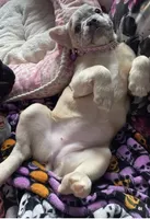 processed/b83c942d-21e0-4a53-84b5-82085e3aeaf8/facility/88583c52-7820-4189-98fe-8001360b59b4