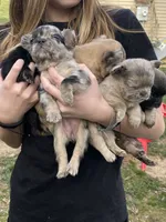 processed/b83c942d-21e0-4a53-84b5-82085e3aeaf8/facility/8a4f8c6f-dff7-4016-8e00-38825455a543