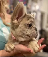 processed/b83c942d-21e0-4a53-84b5-82085e3aeaf8/facility/9a674f48-33f6-4474-a133-c0854e0d30f4