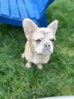 processed/b83c942d-21e0-4a53-84b5-82085e3aeaf8/facility/dc77821b-bd03-4542-ad6b-5cf642ea3196