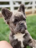 processed/b83c942d-21e0-4a53-84b5-82085e3aeaf8/facility/e37dbdaa-e8a4-45fa-90e3-02d0e49ef448