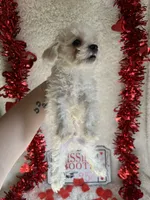 processed/b83e293a-6391-4659-82a7-6cb3d6c9205c/listing/5d42bb39-f6bd-4b26-8b62-51b98aed590b/004ed28b-9d54-4fe1-aa11-4800dc65a1af