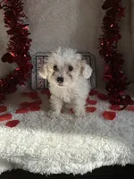 processed/b83e293a-6391-4659-82a7-6cb3d6c9205c/listing/5d42bb39-f6bd-4b26-8b62-51b98aed590b/07a8b6df-515a-4178-b948-708e52cee11c