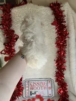 processed/b83e293a-6391-4659-82a7-6cb3d6c9205c/listing/5d42bb39-f6bd-4b26-8b62-51b98aed590b/5d442d2d-2737-4a23-a9c5-d0ede7212350