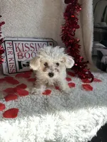 processed/b83e293a-6391-4659-82a7-6cb3d6c9205c/listing/5d42bb39-f6bd-4b26-8b62-51b98aed590b/6c102352-d9a5-4e82-9c6d-5031a16cc4bd