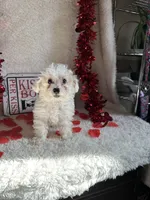 processed/b83e293a-6391-4659-82a7-6cb3d6c9205c/listing/5d42bb39-f6bd-4b26-8b62-51b98aed590b/8d998dc4-455e-402b-9425-c5dde2664d7c