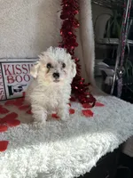 processed/b83e293a-6391-4659-82a7-6cb3d6c9205c/listing/5d42bb39-f6bd-4b26-8b62-51b98aed590b/af4420f5-2825-4961-b1d0-a2e96baf1885