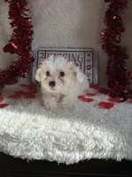 processed/b83e293a-6391-4659-82a7-6cb3d6c9205c/listing/5d42bb39-f6bd-4b26-8b62-51b98aed590b/b57dfb46-f9dd-41e7-b663-7772f5ecf4a7