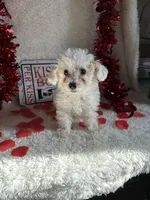 processed/b83e293a-6391-4659-82a7-6cb3d6c9205c/listing/5d42bb39-f6bd-4b26-8b62-51b98aed590b/e03e4d08-4865-4b4b-a662-22fc4225962a