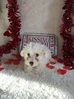 processed/b83e293a-6391-4659-82a7-6cb3d6c9205c/listing/5d42bb39-f6bd-4b26-8b62-51b98aed590b/e73b3f70-2e52-4b5d-8f81-a5b3568d9240