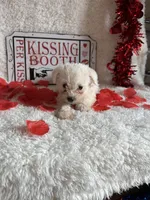 processed/b83e293a-6391-4659-82a7-6cb3d6c9205c/listing/7e63a669-cb0e-4688-98d8-f729d7617c06/012872c6-1299-4d16-ae95-ce624b8d06a1