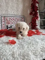 processed/b83e293a-6391-4659-82a7-6cb3d6c9205c/listing/7e63a669-cb0e-4688-98d8-f729d7617c06/01ce946f-a969-49dc-b4cb-a6c14128c3a9