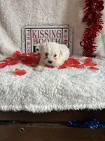 processed/b83e293a-6391-4659-82a7-6cb3d6c9205c/listing/7e63a669-cb0e-4688-98d8-f729d7617c06/389febc9-f4dc-4860-a702-1d9f9a70ff7e