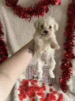 processed/b83e293a-6391-4659-82a7-6cb3d6c9205c/listing/7e63a669-cb0e-4688-98d8-f729d7617c06/686794fa-d390-48bd-8517-0c036ea7865a