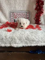 processed/b83e293a-6391-4659-82a7-6cb3d6c9205c/listing/7e63a669-cb0e-4688-98d8-f729d7617c06/93c23731-3d33-467c-85fb-3c11f25fac6a