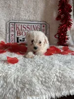 processed/b83e293a-6391-4659-82a7-6cb3d6c9205c/listing/7e63a669-cb0e-4688-98d8-f729d7617c06/a01f5318-7e4c-4108-aa1a-b38abd8fce1f