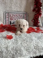 processed/b83e293a-6391-4659-82a7-6cb3d6c9205c/listing/7e63a669-cb0e-4688-98d8-f729d7617c06/b366e2a2-8a95-4f5a-b7a6-cad37f5d7f24