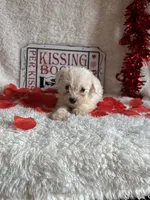 processed/b83e293a-6391-4659-82a7-6cb3d6c9205c/listing/7e63a669-cb0e-4688-98d8-f729d7617c06/de775c46-06ba-4731-8521-2d9ce9ed98d6