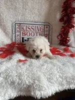 processed/b83e293a-6391-4659-82a7-6cb3d6c9205c/listing/bb7aa808-b17e-41b4-8e69-c07c3859e477/14a69bfe-b71c-41a8-9393-07af8651c528