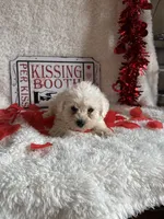 processed/b83e293a-6391-4659-82a7-6cb3d6c9205c/listing/bb7aa808-b17e-41b4-8e69-c07c3859e477/3a3f2f42-c6f6-4b41-b431-ff35c706b8f0