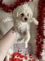 processed/b83e293a-6391-4659-82a7-6cb3d6c9205c/listing/bb7aa808-b17e-41b4-8e69-c07c3859e477/8cef0ff8-ed9a-41ee-91f0-700ba3e31f75