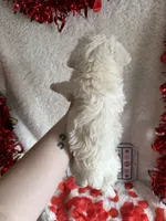 processed/b83e293a-6391-4659-82a7-6cb3d6c9205c/listing/bb7aa808-b17e-41b4-8e69-c07c3859e477/9f588f2e-f8ab-458c-9450-5f162eb929de