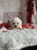 processed/b83e293a-6391-4659-82a7-6cb3d6c9205c/listing/bb7aa808-b17e-41b4-8e69-c07c3859e477/a365a805-aa03-450e-9734-ffbc27af8ba7