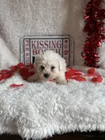 processed/b83e293a-6391-4659-82a7-6cb3d6c9205c/listing/bb7aa808-b17e-41b4-8e69-c07c3859e477/bac46d36-5375-42b9-81b0-2683be603849