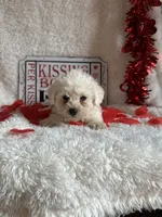 processed/b83e293a-6391-4659-82a7-6cb3d6c9205c/listing/bb7aa808-b17e-41b4-8e69-c07c3859e477/bc5312be-dbf1-4339-b46c-5b0dc467a6d5