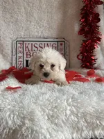 processed/b83e293a-6391-4659-82a7-6cb3d6c9205c/listing/bb7aa808-b17e-41b4-8e69-c07c3859e477/d6b52de9-905d-46e4-b203-47e791a5db8c