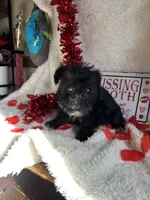 processed/b83e293a-6391-4659-82a7-6cb3d6c9205c/listing/d9d67864-c2e9-4f22-b9a6-af079de6b69e/0224b75a-ea0f-42ea-87af-2c018097c0e5