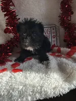 processed/b83e293a-6391-4659-82a7-6cb3d6c9205c/listing/d9d67864-c2e9-4f22-b9a6-af079de6b69e/3033fd6f-e49b-4aad-8867-c96314e6195d