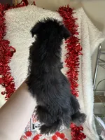 processed/b83e293a-6391-4659-82a7-6cb3d6c9205c/listing/d9d67864-c2e9-4f22-b9a6-af079de6b69e/3f106ef9-c16c-443c-a080-77d8f09755b5