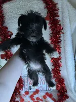 processed/b83e293a-6391-4659-82a7-6cb3d6c9205c/listing/d9d67864-c2e9-4f22-b9a6-af079de6b69e/45089e22-e7ad-4271-a0f4-45d1d7a62720