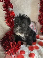 processed/b83e293a-6391-4659-82a7-6cb3d6c9205c/listing/d9d67864-c2e9-4f22-b9a6-af079de6b69e/5b80b827-d8eb-4167-8777-993c84ff9b21