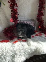 processed/b83e293a-6391-4659-82a7-6cb3d6c9205c/listing/d9d67864-c2e9-4f22-b9a6-af079de6b69e/977e3036-4169-4158-ad43-6a80c5493e47