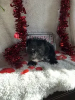 processed/b83e293a-6391-4659-82a7-6cb3d6c9205c/listing/d9d67864-c2e9-4f22-b9a6-af079de6b69e/be78b2db-afba-40a6-ac16-f5777f99281d