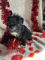 processed/b83e293a-6391-4659-82a7-6cb3d6c9205c/listing/d9d67864-c2e9-4f22-b9a6-af079de6b69e/d261ceb4-1910-4cbc-acdf-5a8728ec7fc7