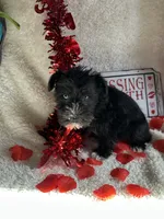 processed/b83e293a-6391-4659-82a7-6cb3d6c9205c/listing/d9d67864-c2e9-4f22-b9a6-af079de6b69e/e8eac058-f6cc-4afc-939c-18d29a6da302