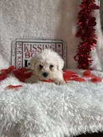 processed/b83e293a-6391-4659-82a7-6cb3d6c9205c/listing/feff1083-fb29-4501-8326-d3aa9f70ad5a/58723d0f-964a-45b7-822b-694d28b819f0