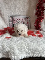 processed/b83e293a-6391-4659-82a7-6cb3d6c9205c/listing/feff1083-fb29-4501-8326-d3aa9f70ad5a/5f071905-ac5f-44dd-bd10-ab4035354012