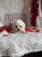 processed/b83e293a-6391-4659-82a7-6cb3d6c9205c/listing/feff1083-fb29-4501-8326-d3aa9f70ad5a/8ef9962d-448b-4588-b061-8954e6740e48